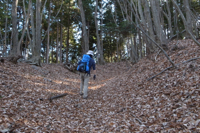 思ったより楽な道。