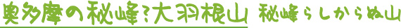 大羽根山を歩く