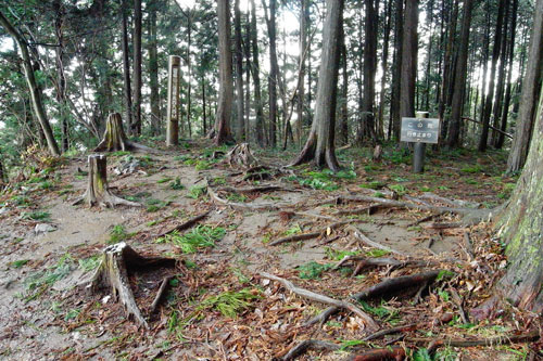 雷電山　山頂