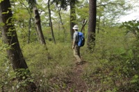 進んでみよう。