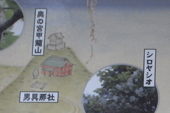 コンドロイチンZS