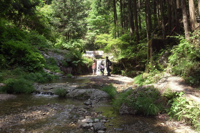 まるでオアシス