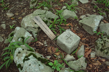 滝入の峰の三角点