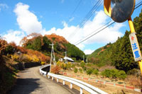 気持ちいい天気