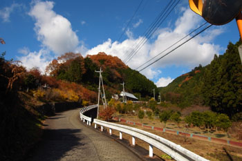 登山道