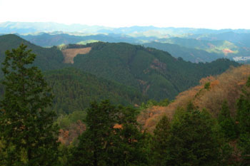 すばらしい展望