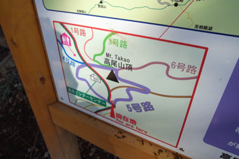 ５号路