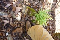 もうやだぁ〜。