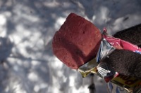 食い物が凍るぜ。