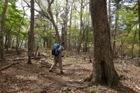 日の出山北尾根