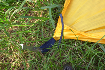 シングルツェルト