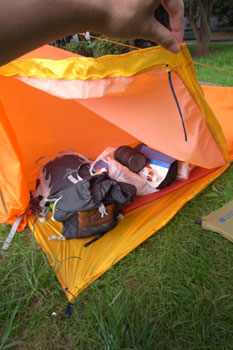 シングルツェルト