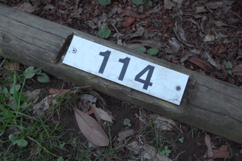 若洲公園キャンプ場