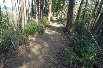 すがすがしい尾根歩き。