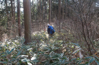 地図・コンパスを忘れないで。