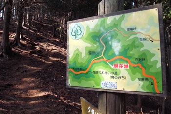 登山道