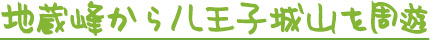 地蔵峰から八王子城山