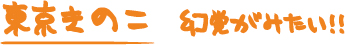東京きのこ　幻覚がみたい！！