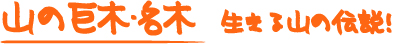 山の巨木・名木　生きる山の伝説